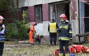 Przygotowanie do wejścia psem