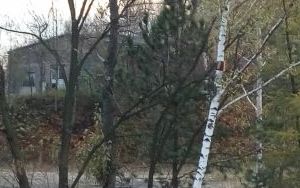 ZD.6 Działki Sosnowiec ul. Dworcowa, Ogrodowa