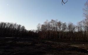 dojazd do nieruchomości