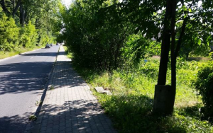 Działka w Rybniku, ul. Mościckiego