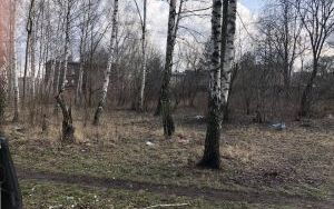 Widok nieruchomości (1)