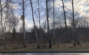 Widok nieruchomości (2)